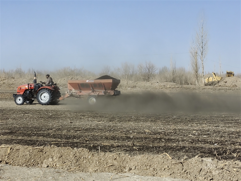 敦煌：良田良种良法融合，玉米单产提升再提速 (2).jpg