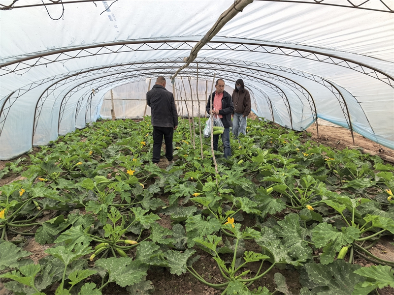 4月21日五一节前月牙泉镇采样 (2).jpg