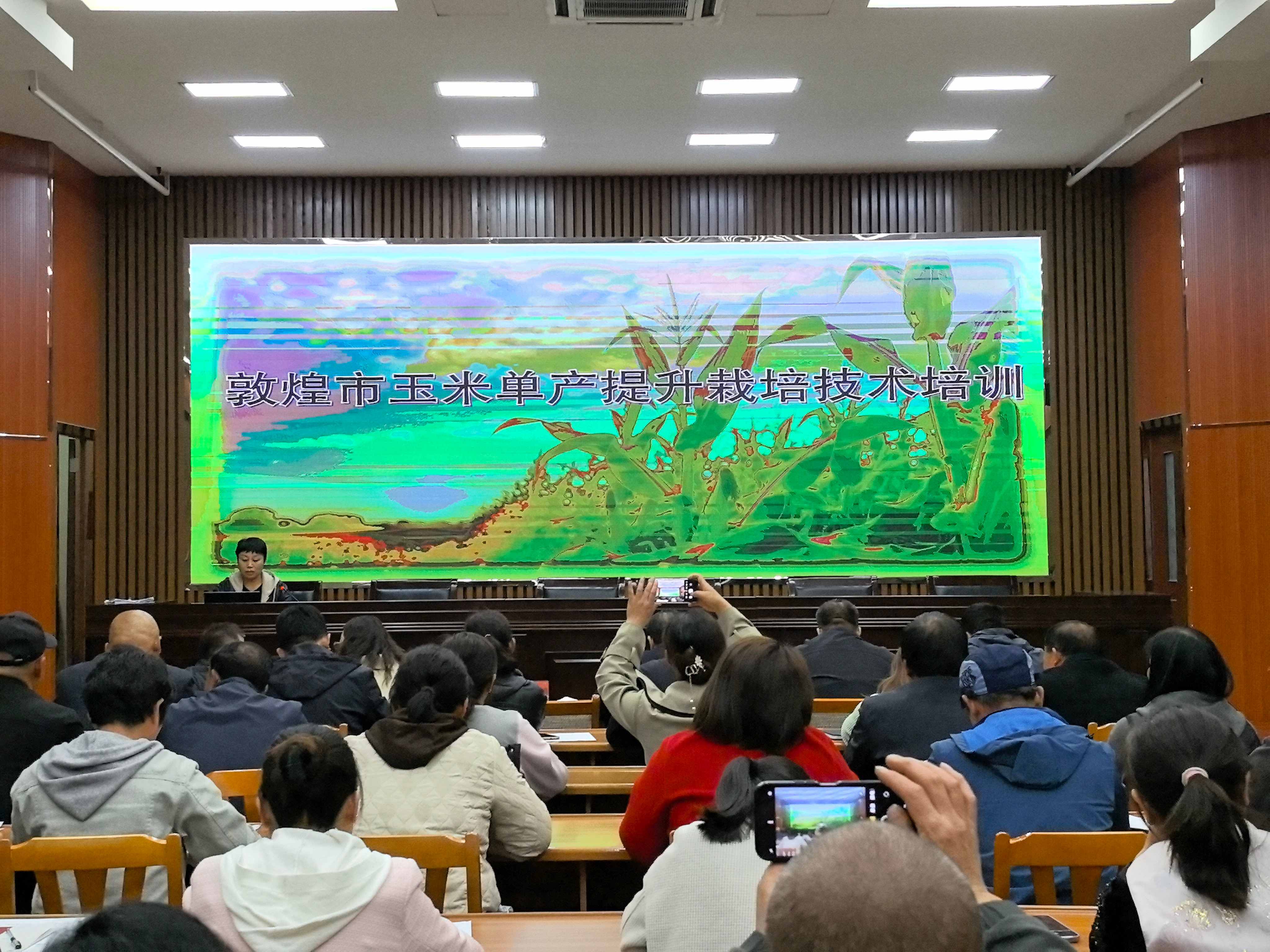 玉米单产提升培训.jpg