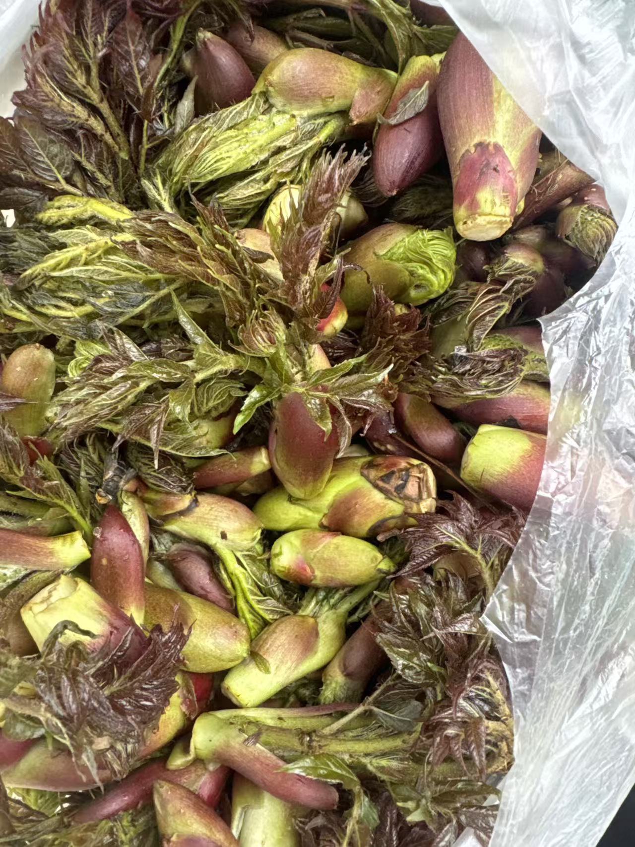 mmexport1777341078079 (1).jpg