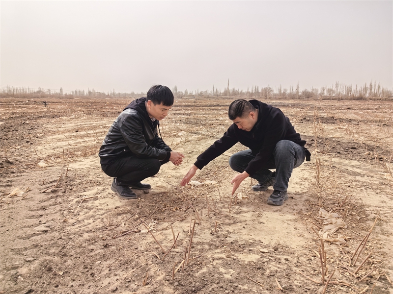 项目基地设备安装规划.jpg