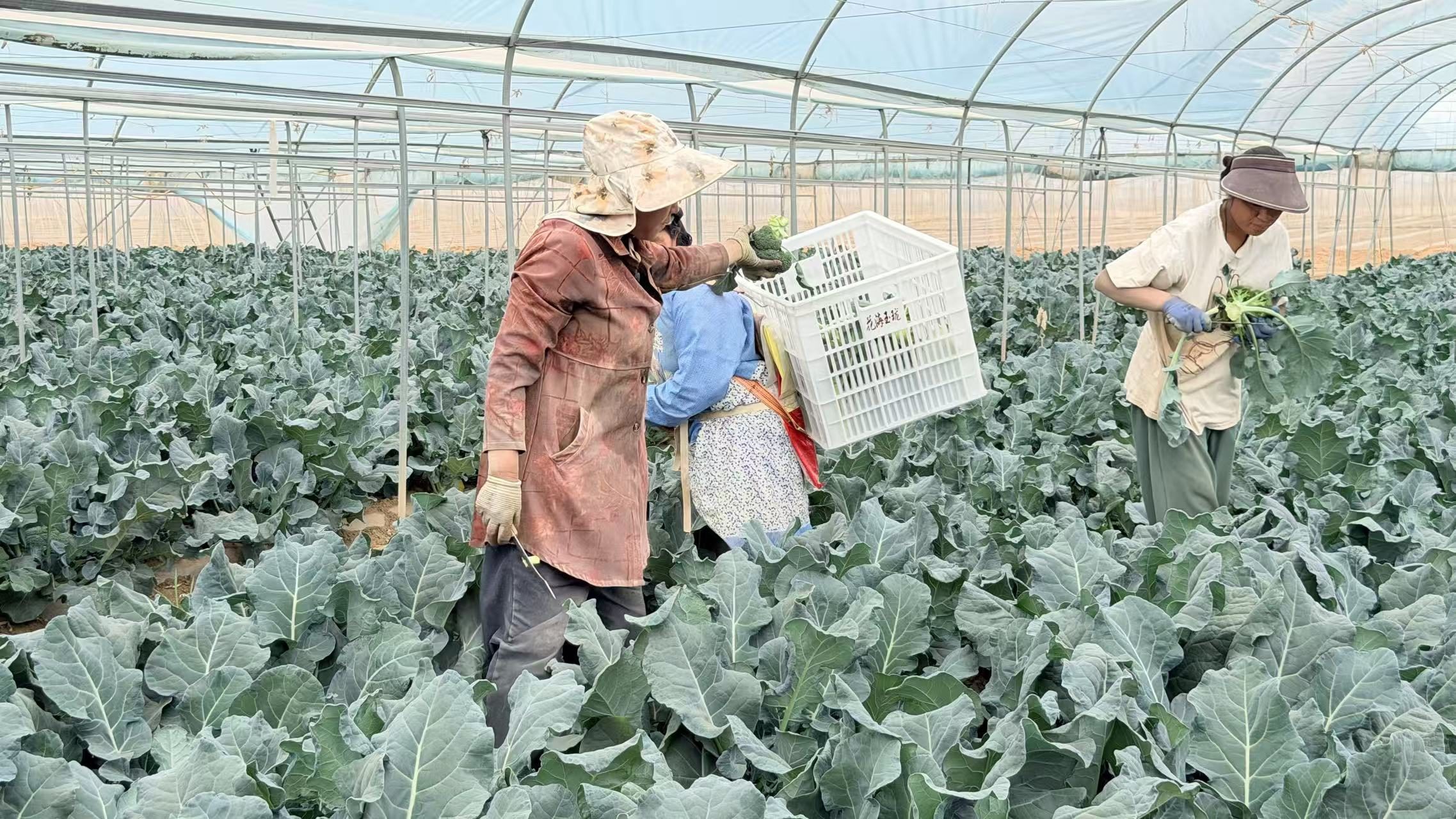 图片4.jpg
