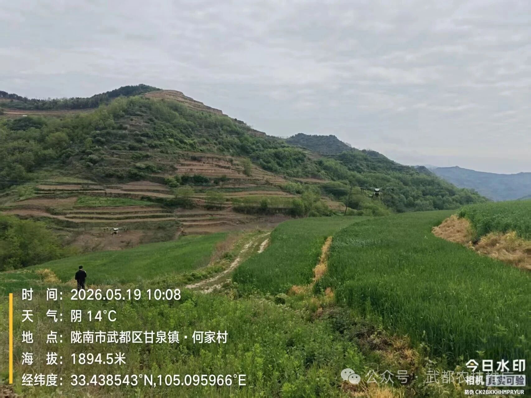 b5ec2c24cdf40d6c648c92fafa9003ee.jpg