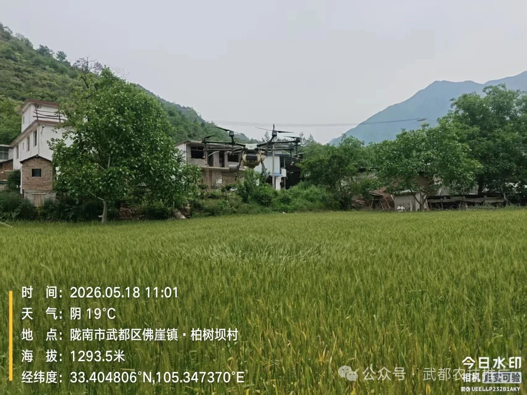 0c574cd976d15bc102fa557972391c79.jpg