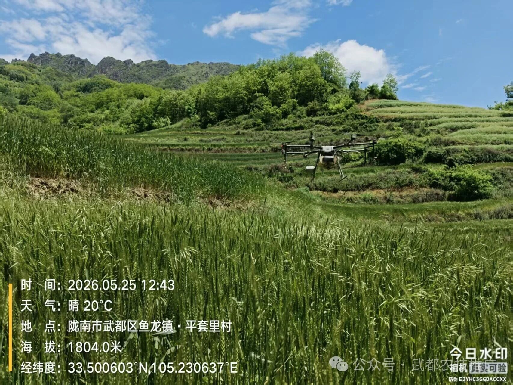 058f128caffa76fd85abb0eb7d23ae44.jpg