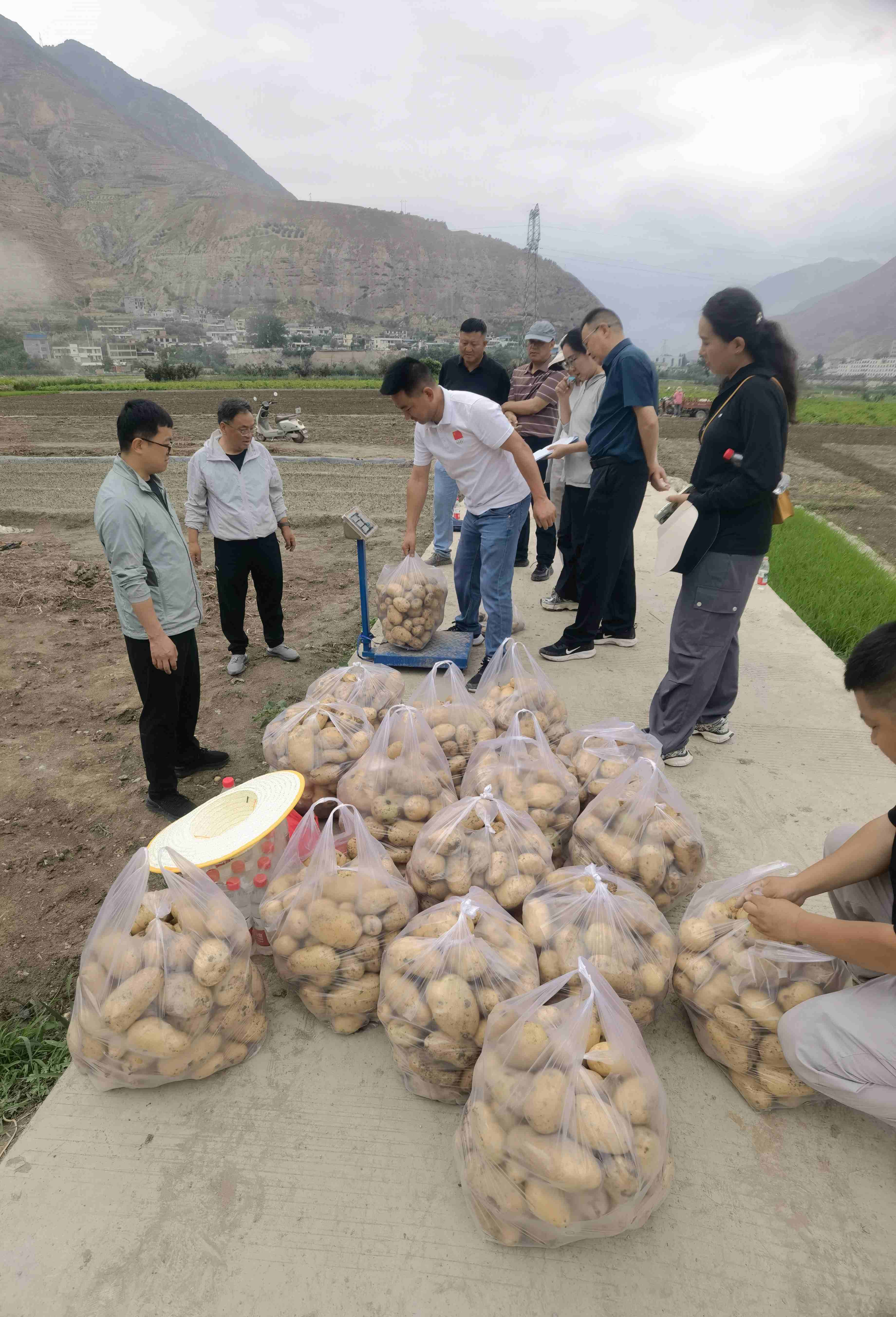 微信图片_20260529105815_154_152.jpg