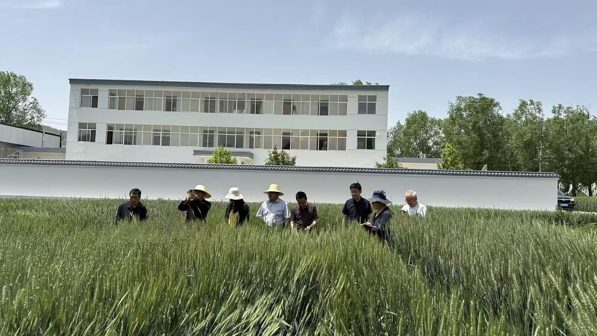 图片1.jpg