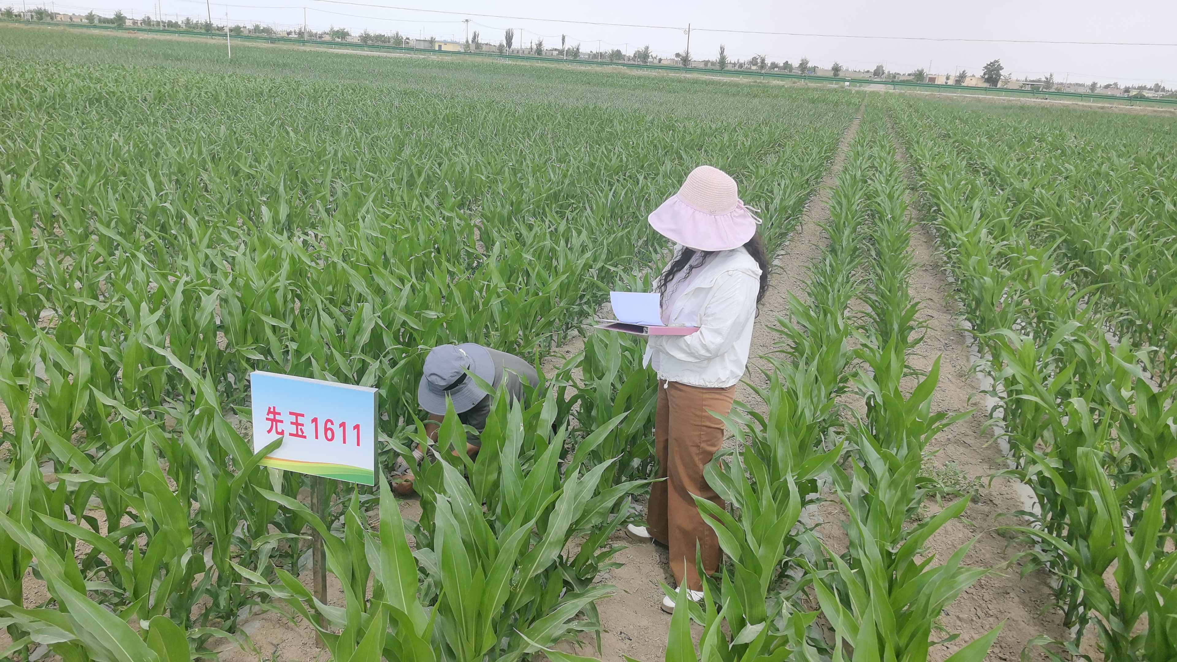 微信图片_20260605085914_1428_3.jpg