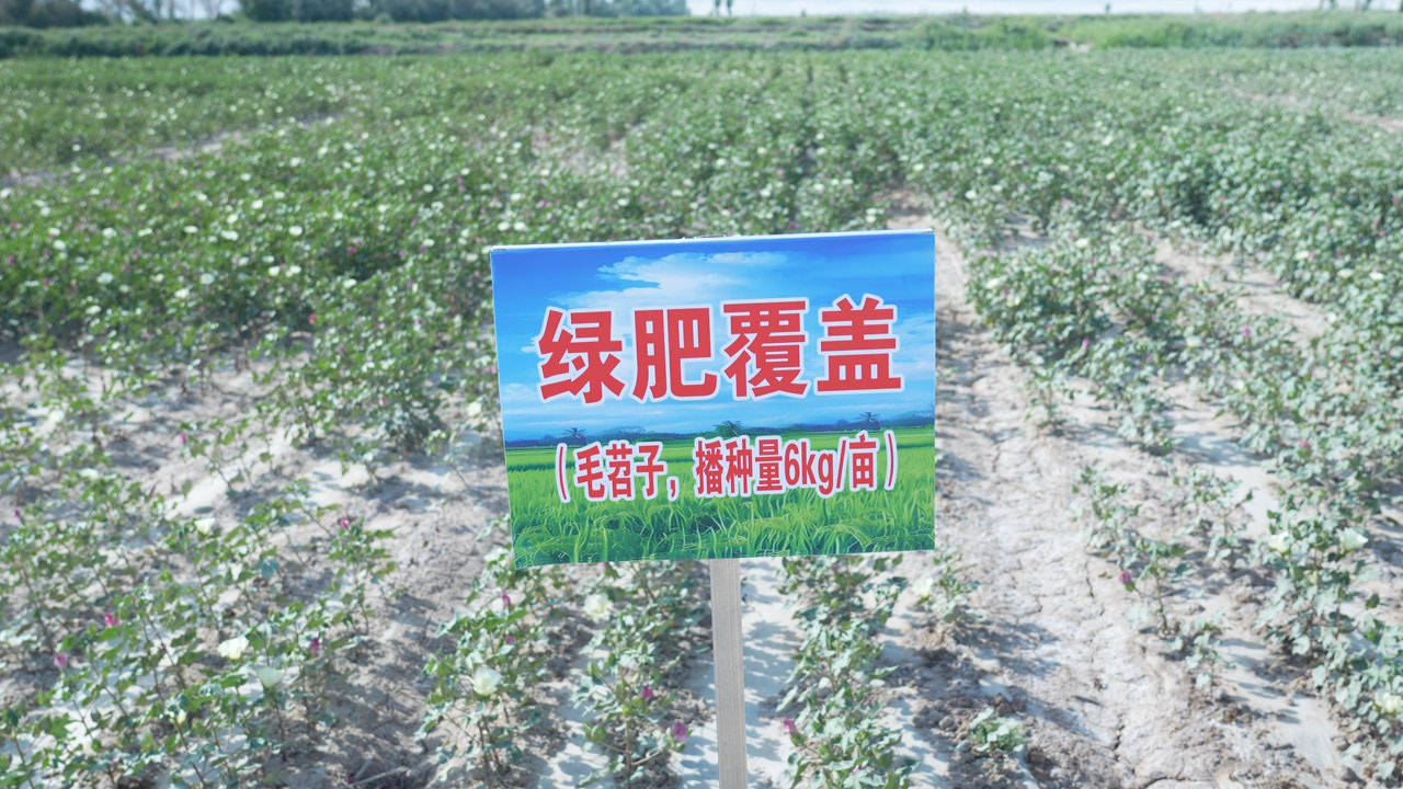 C0492T01.JPG