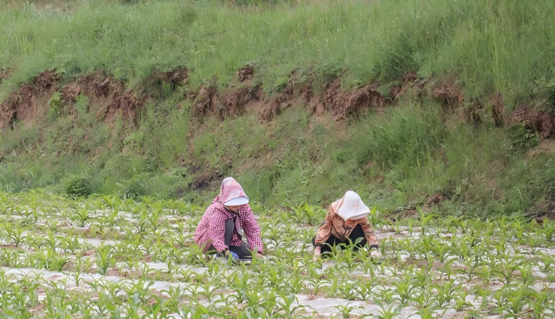 微信图片_2026-06-09_103139_396.jpg