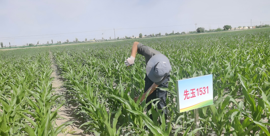 微信图片_2026-06-09_155737_198.png
