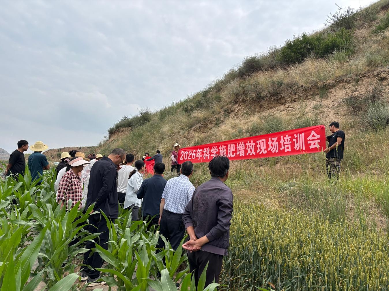 图片2.jpg