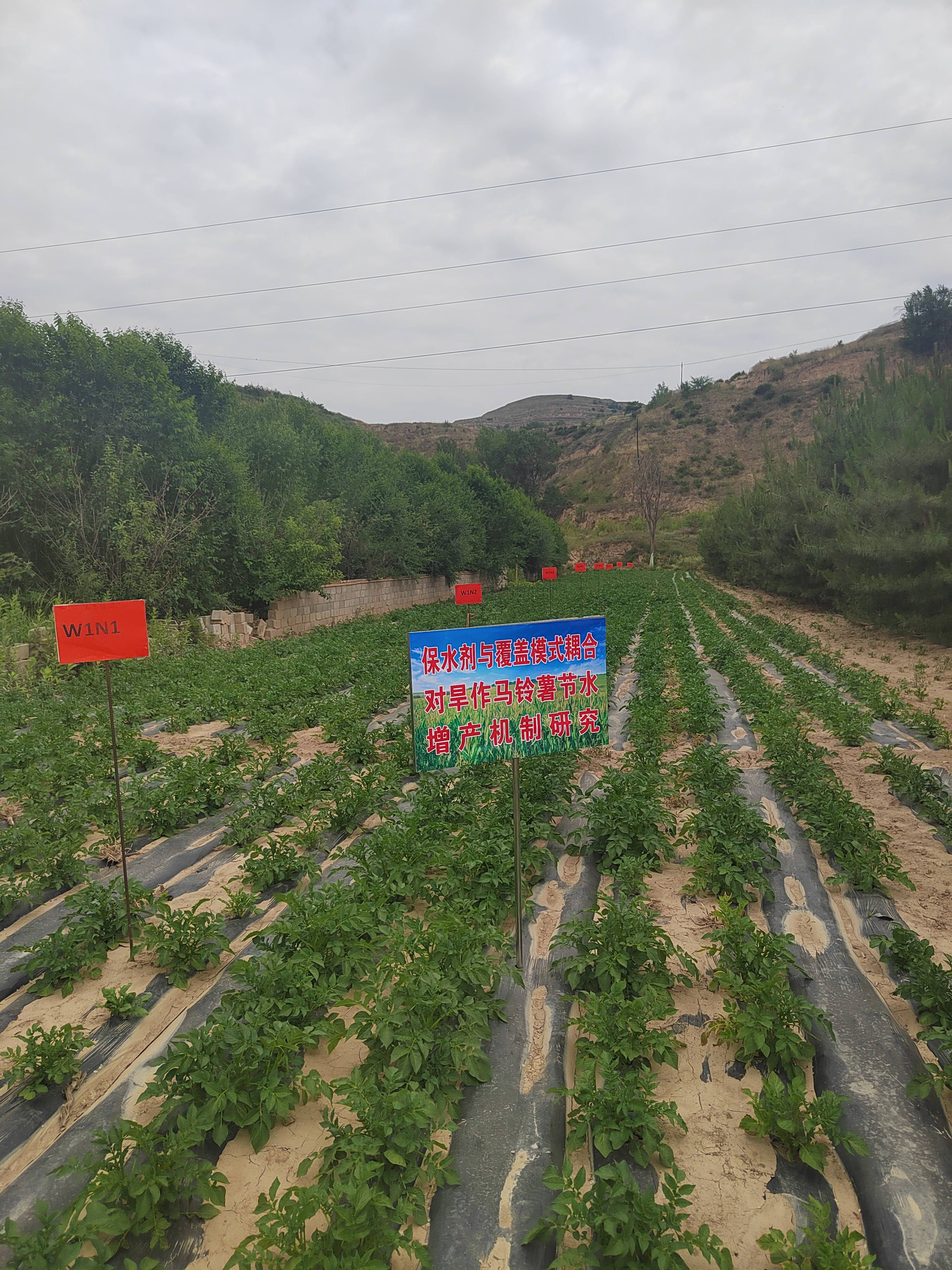 微信图片_20260622174222_1681_12(1).jpg