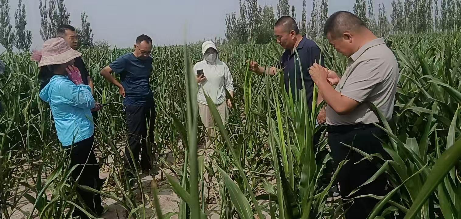 微信图片_20260623111046_1575_3.jpg