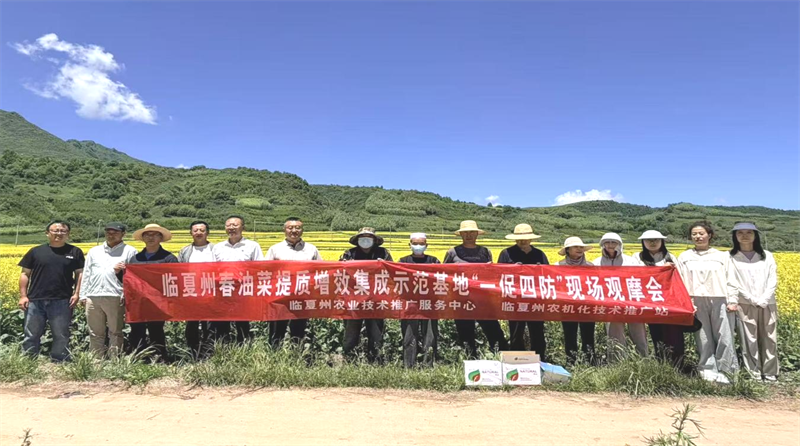 图片8.png