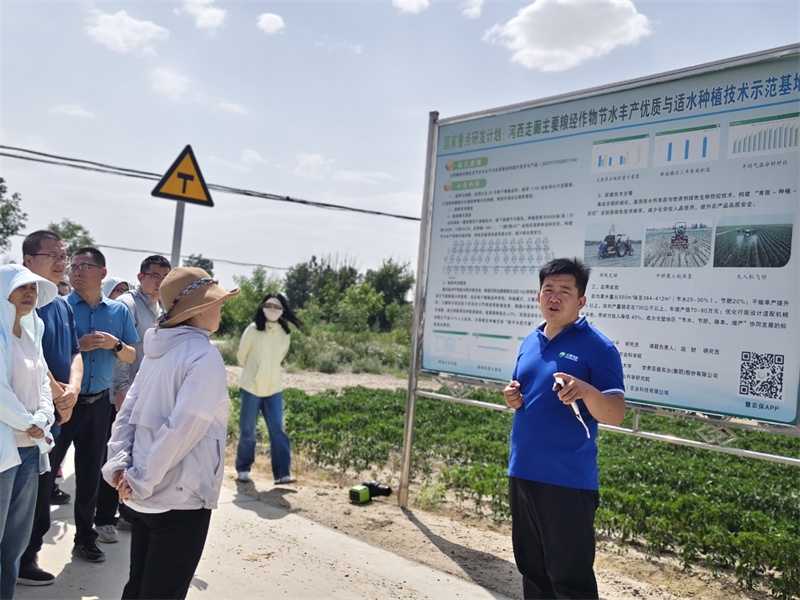 大禹节水酒泉农业科技公司嘉峪关有机制干辣椒基地观摩学习.jpg