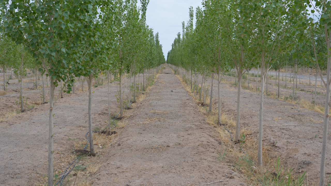 C5459T01.JPG