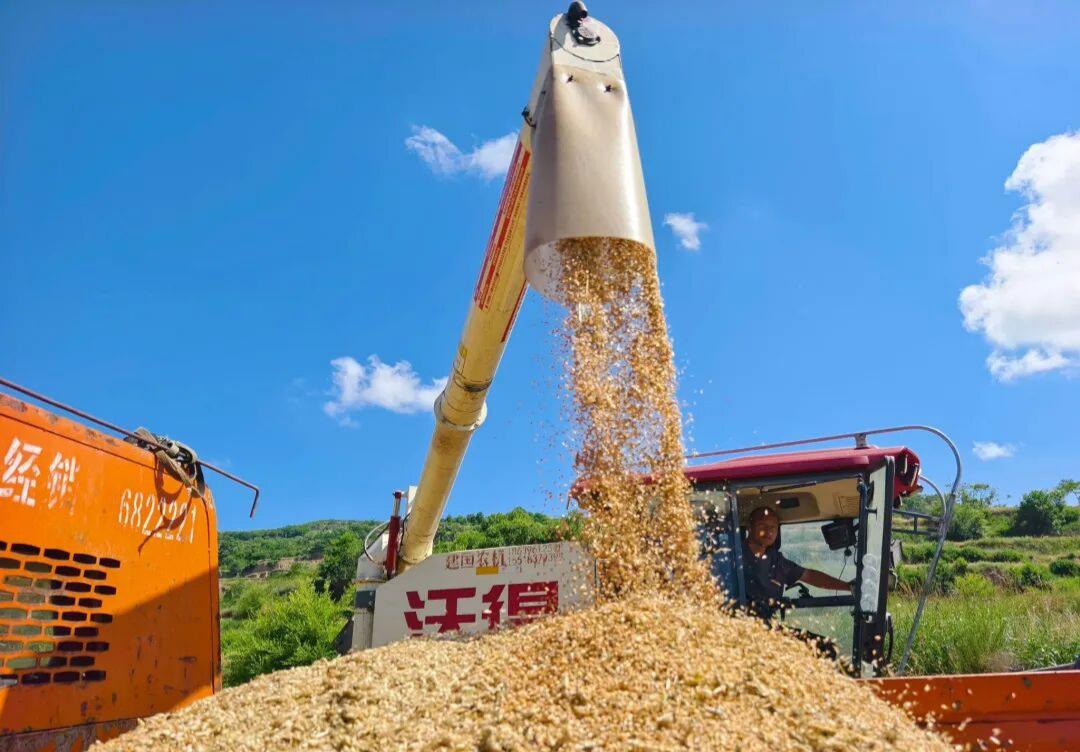 微信图片_2026-07-10_113346_522.jpg