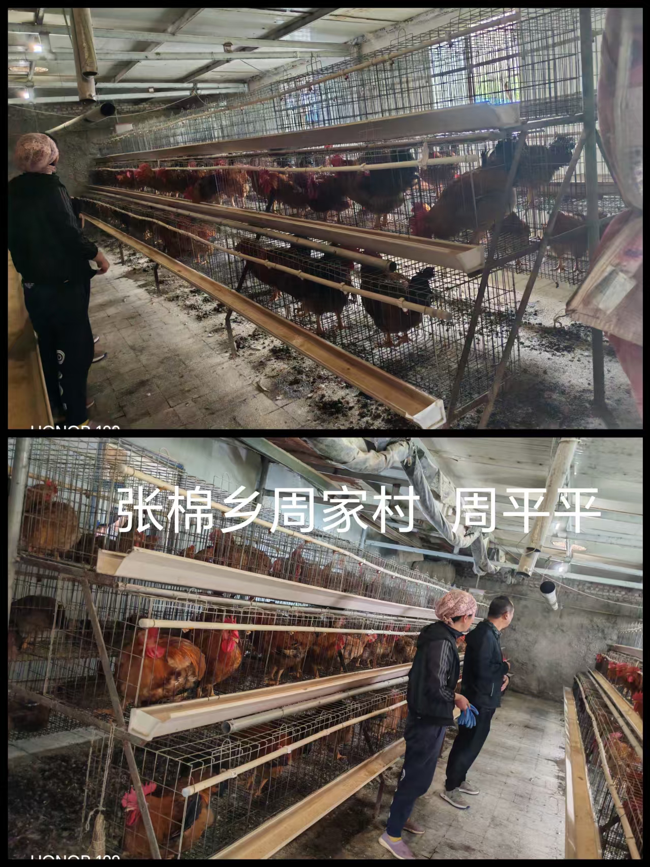 微信图片_20260713090330_53_321.jpg