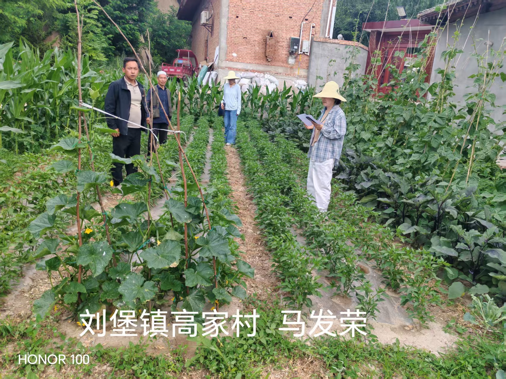 微信图片_20260713090232_50_321(1).jpg