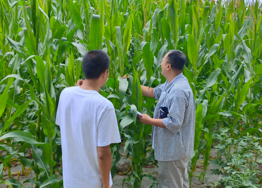 图片1(1).png