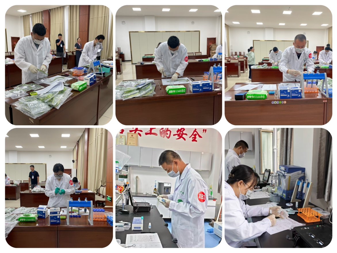敦煌市农业技术推广中心参赛选手实操图集.JPG