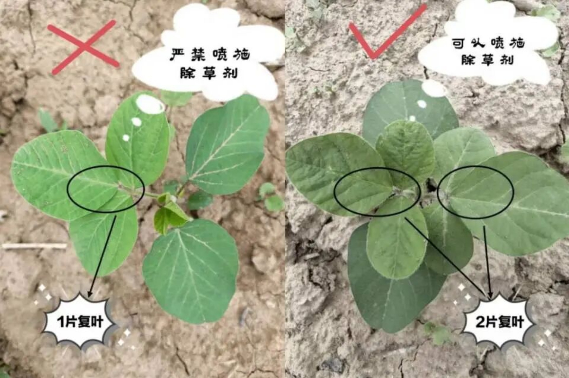 微信图片_20260716095315_5452_6.jpg