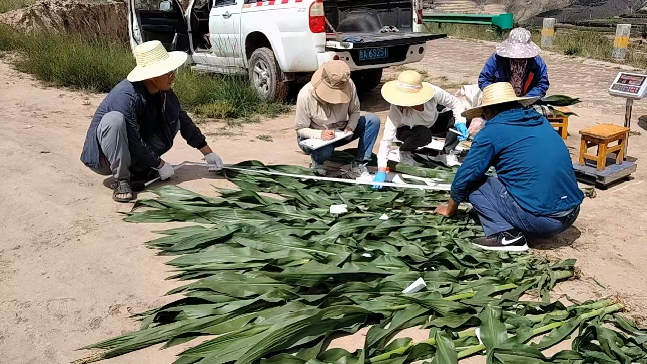 微信图片_20260716152623_6_391.jpg