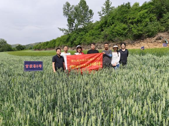 图片9.png