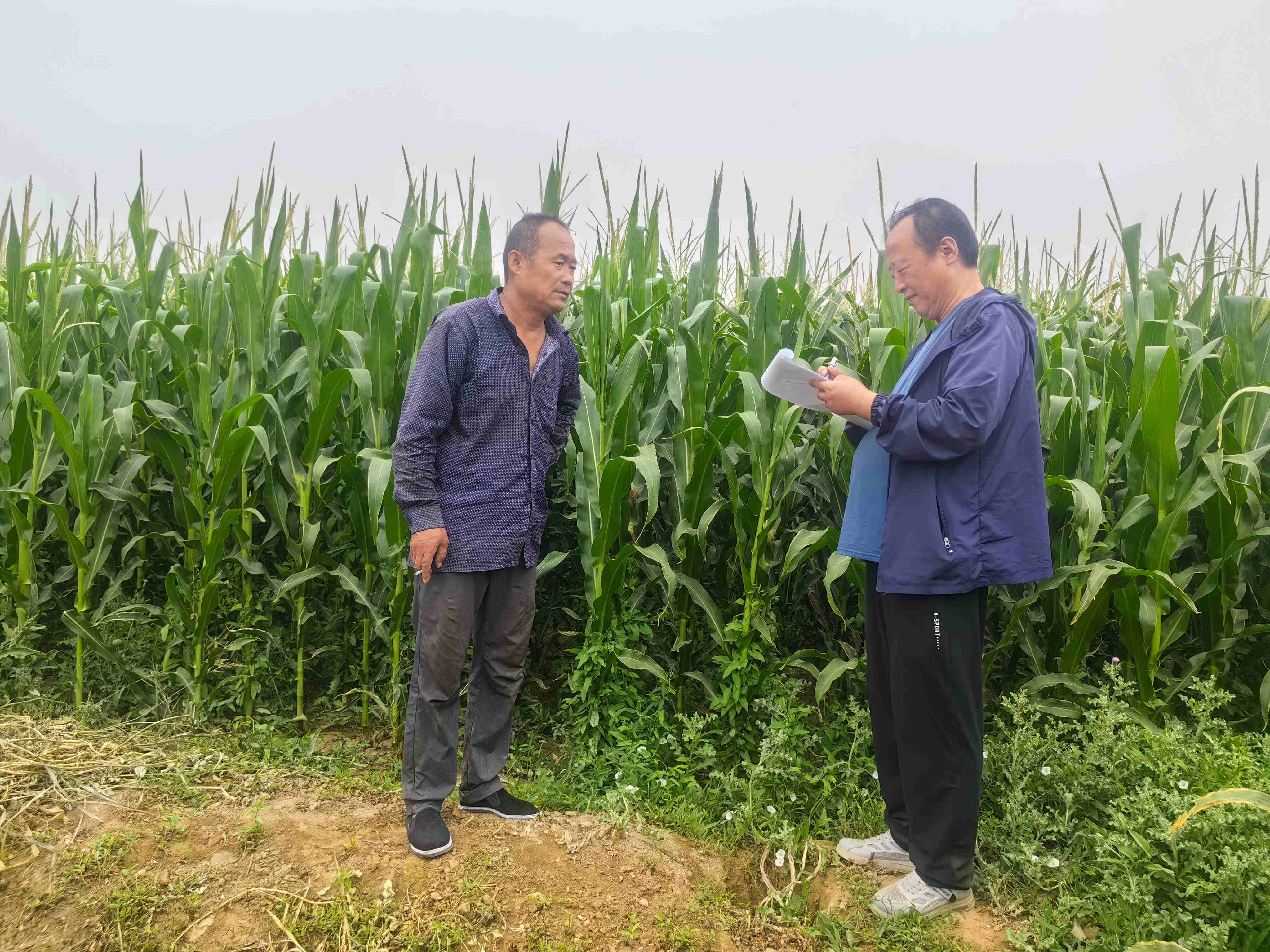 7月16日在郭家堡镇进行监测点踏勘2.jpg