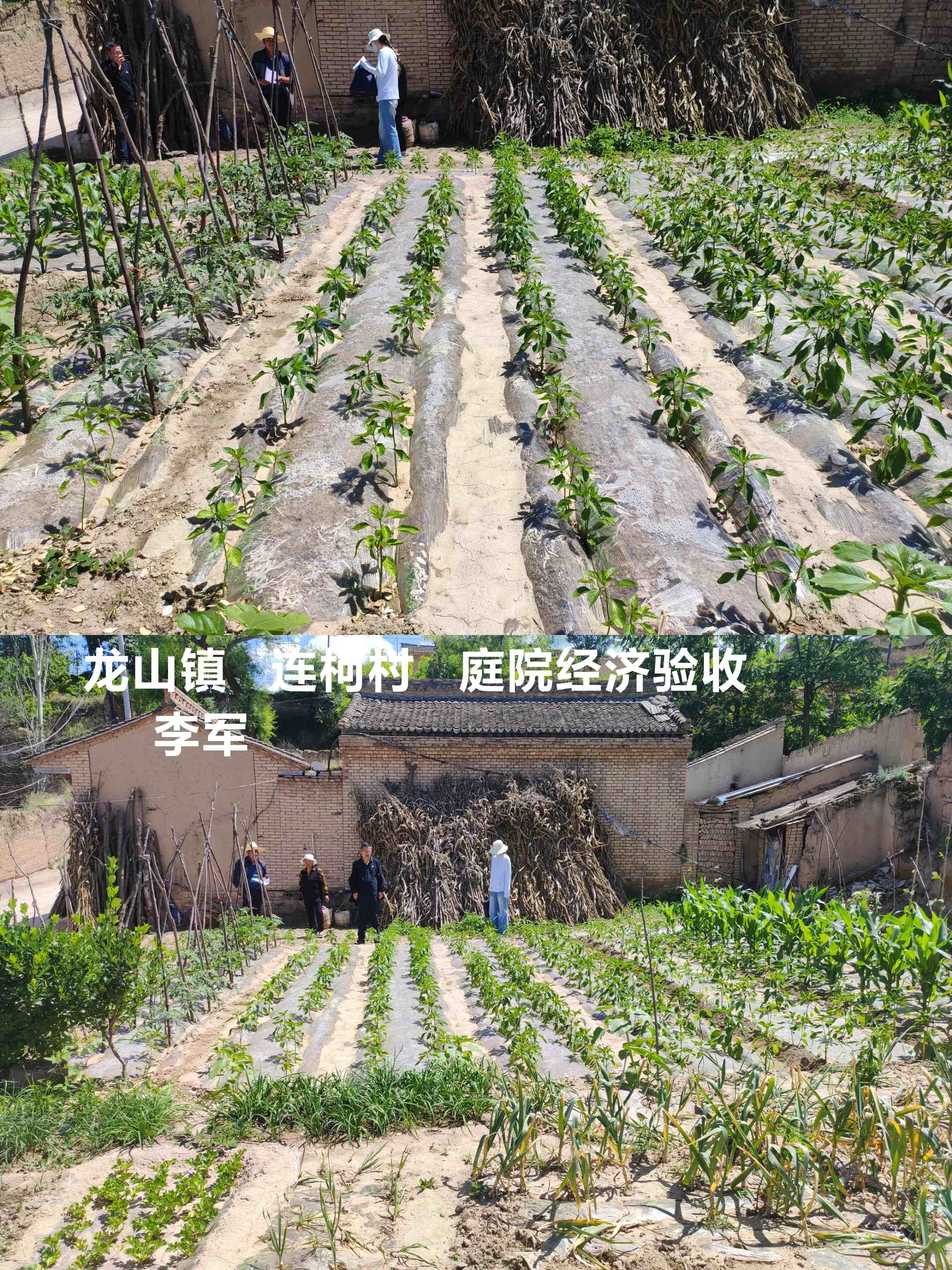 微信图片_20260615162137_28_321.jpg