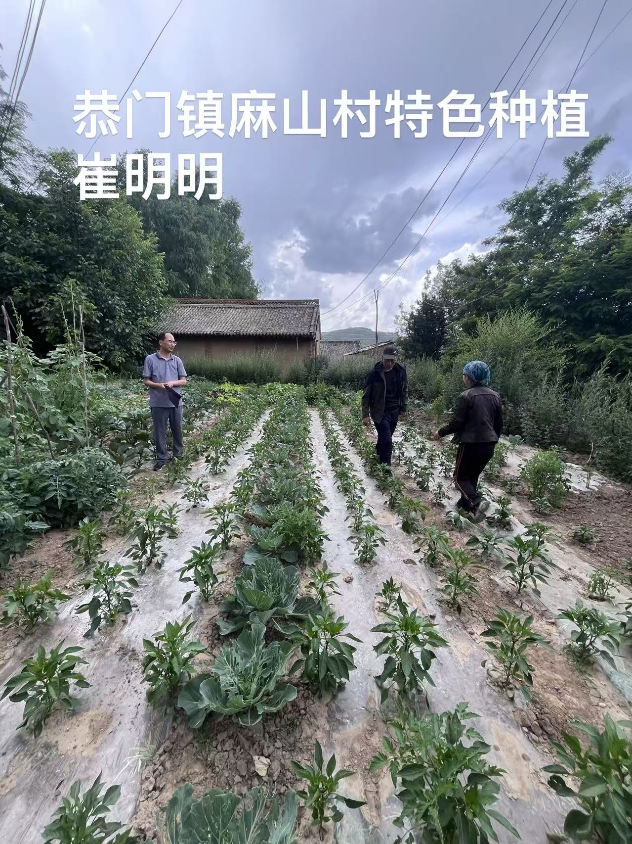 微信图片_20260713090751_55_321.jpg