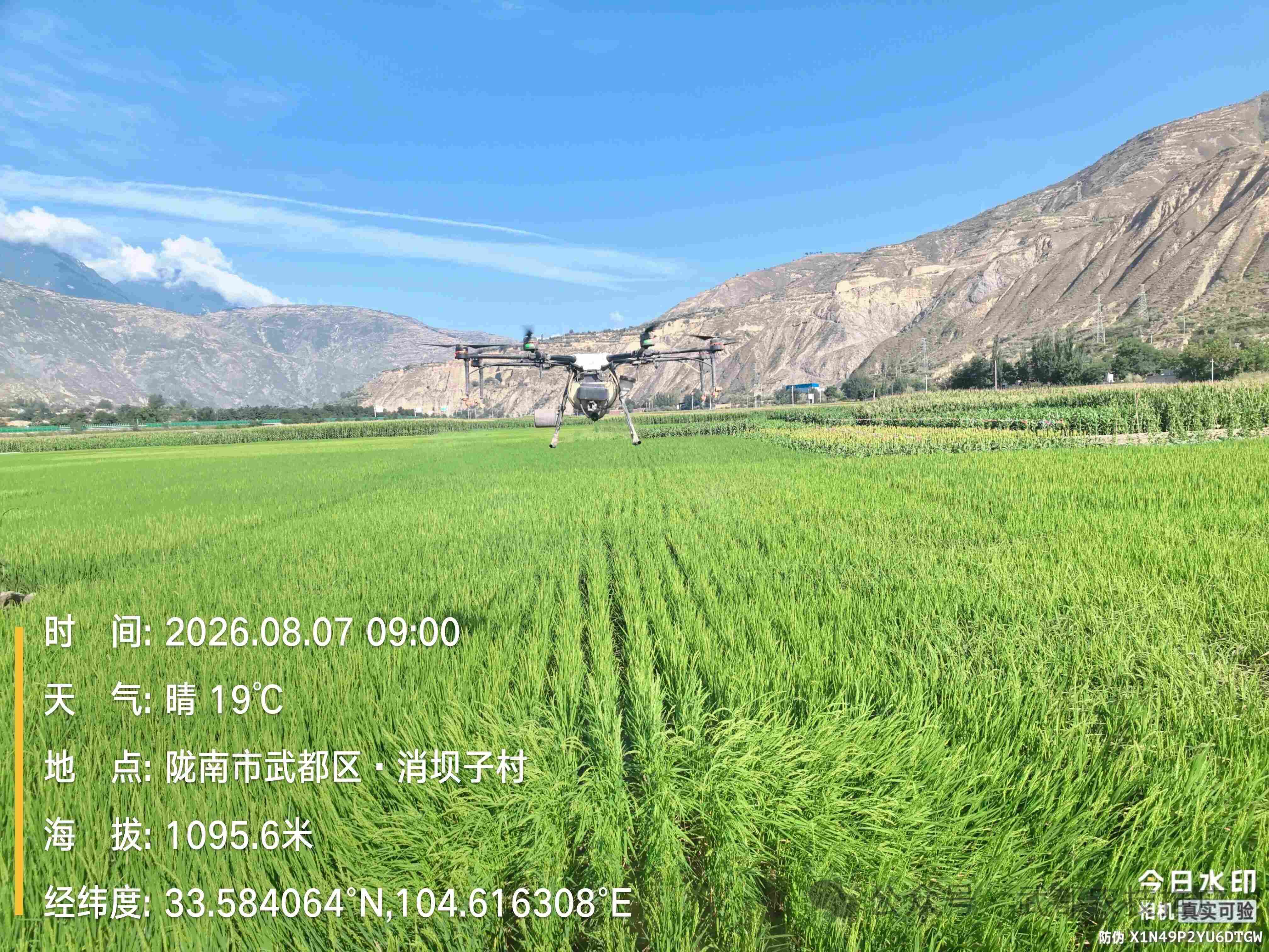 微信图片_2026-08-07_110427_841.jpg