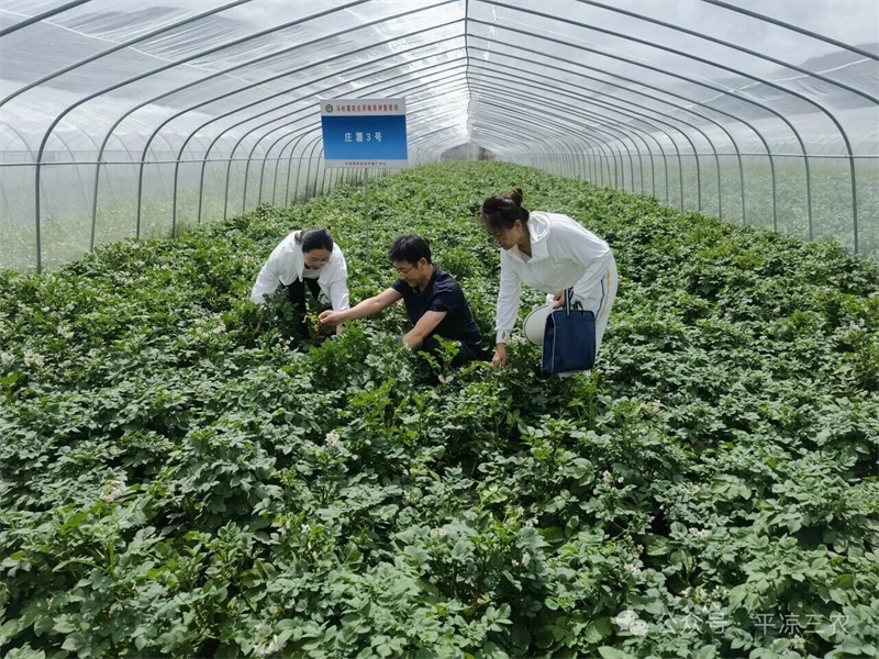 微信图片_2026-08-09_171854_284.jpg
