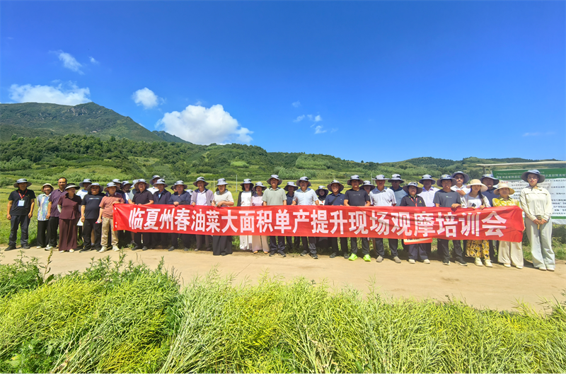 图片6.png