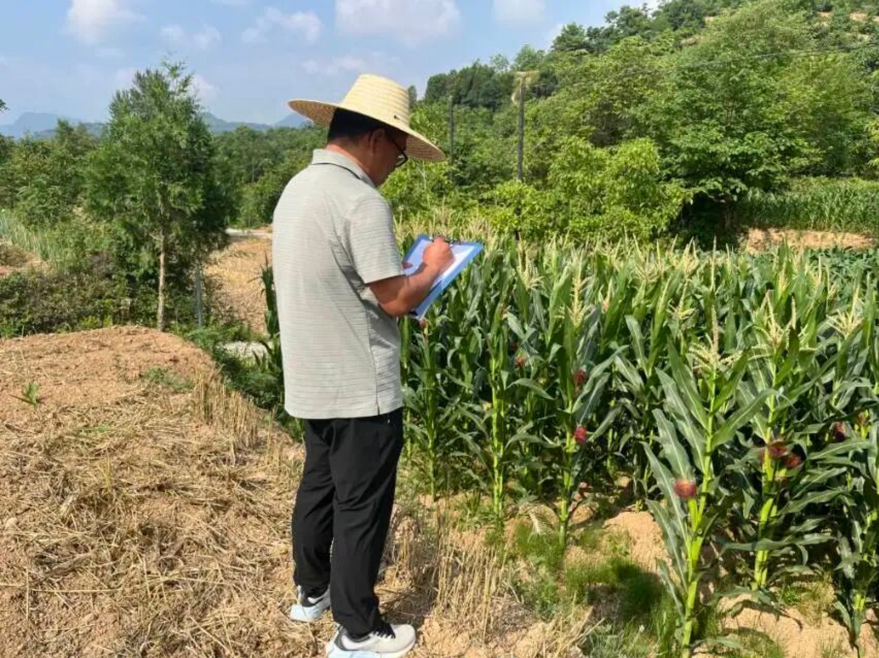微信图片_20260707172240_5257_6.jpg