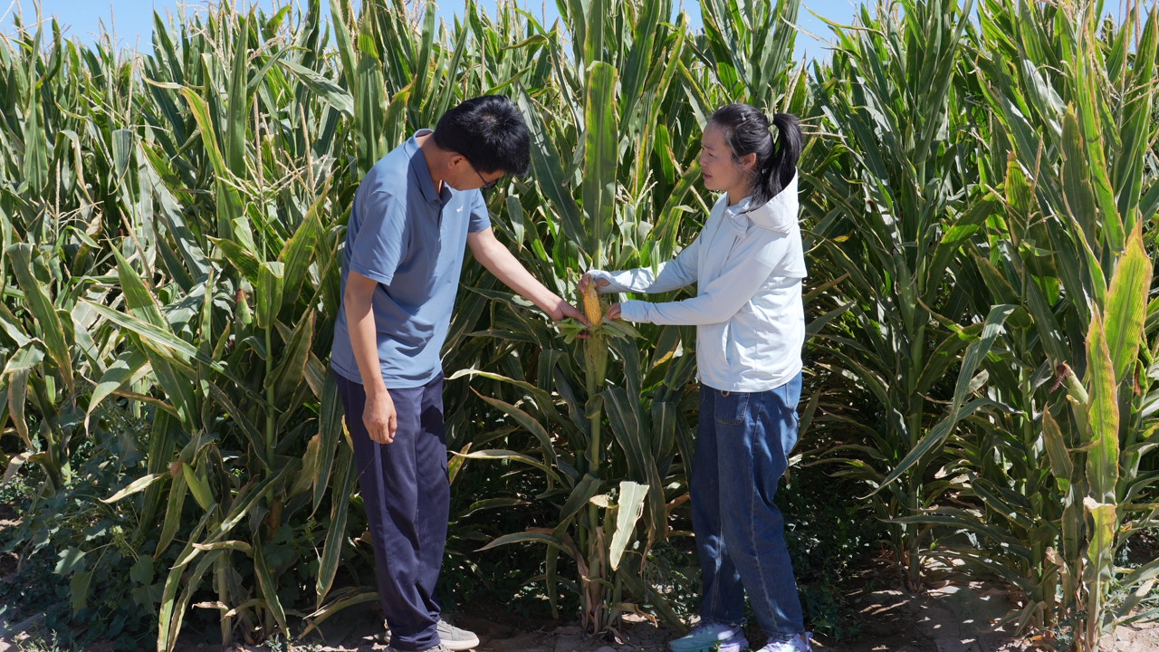 C5980T01.JPG