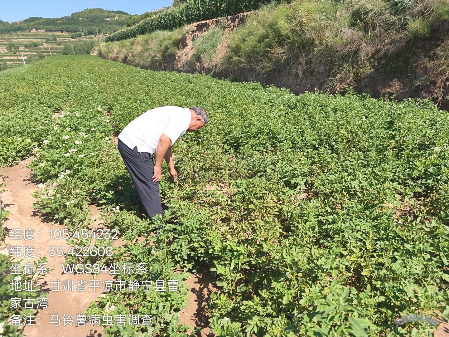 微信图片_20260818103640_40_57.jpg