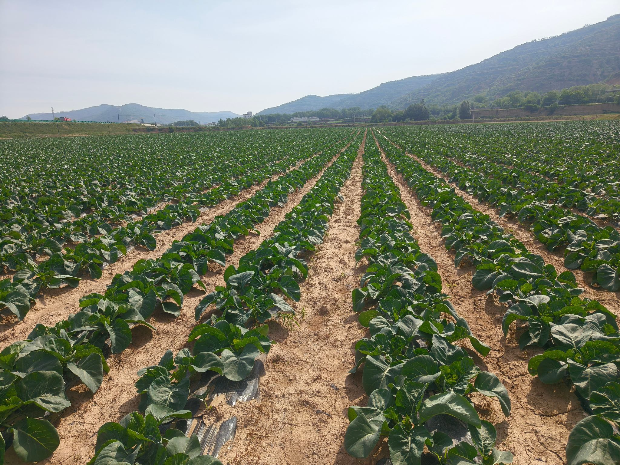 图片1.jpg