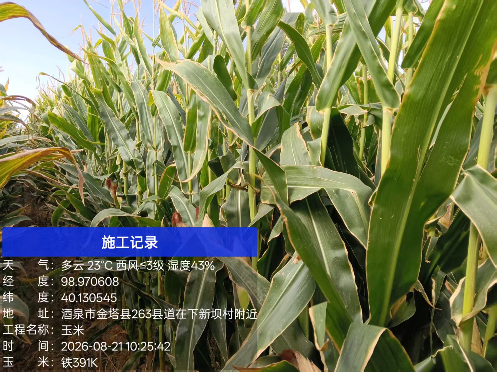 微信图片_20260824113956_21_70.jpg