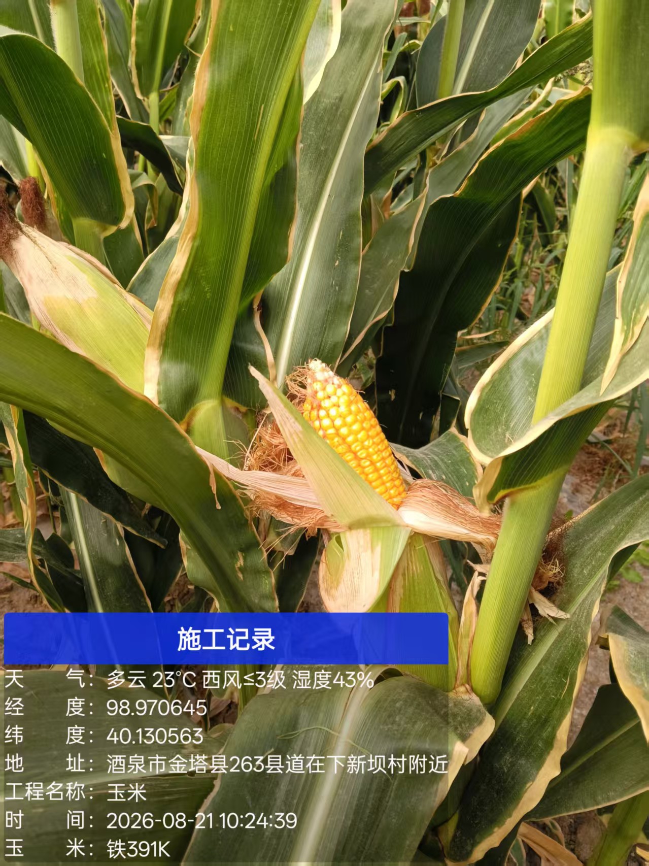 微信图片_20260824113947_16_70.jpg