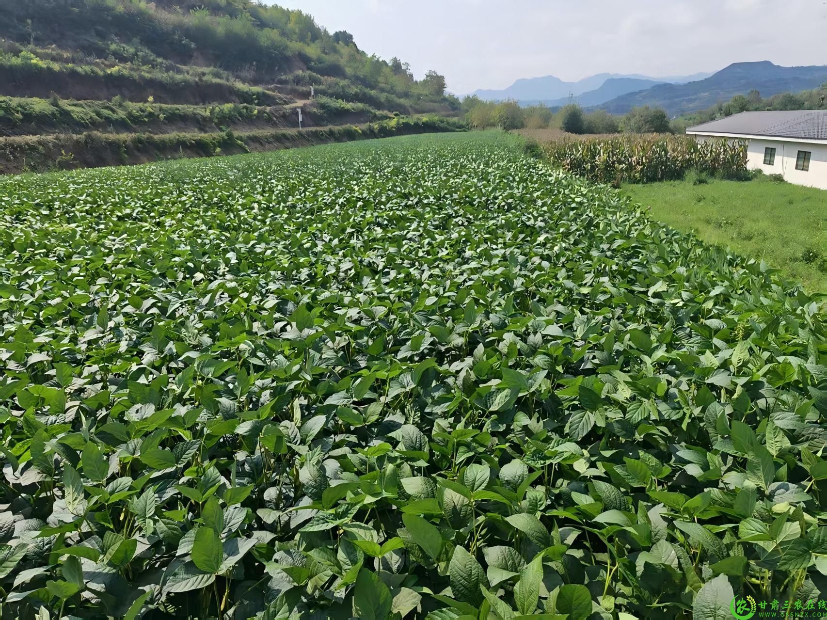 微信图片_20260904153411_148_1.jpg