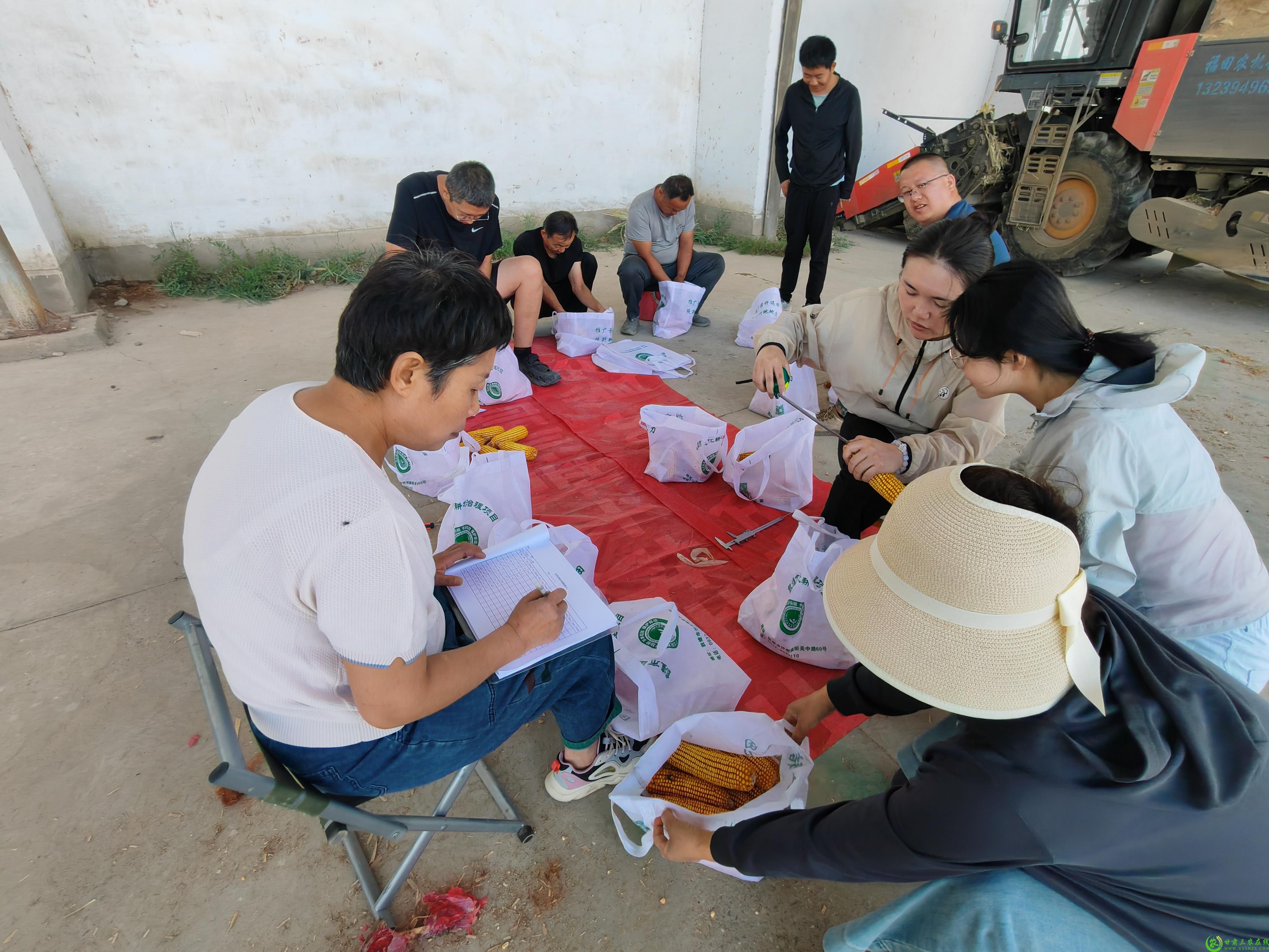 工作人员正在玉米相关数据测量.jpg