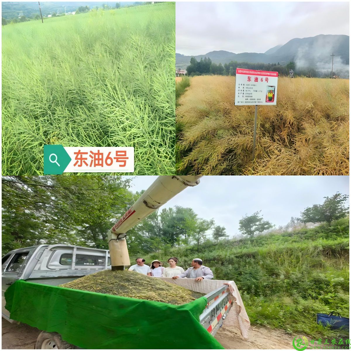 WPS拼图2.jpg