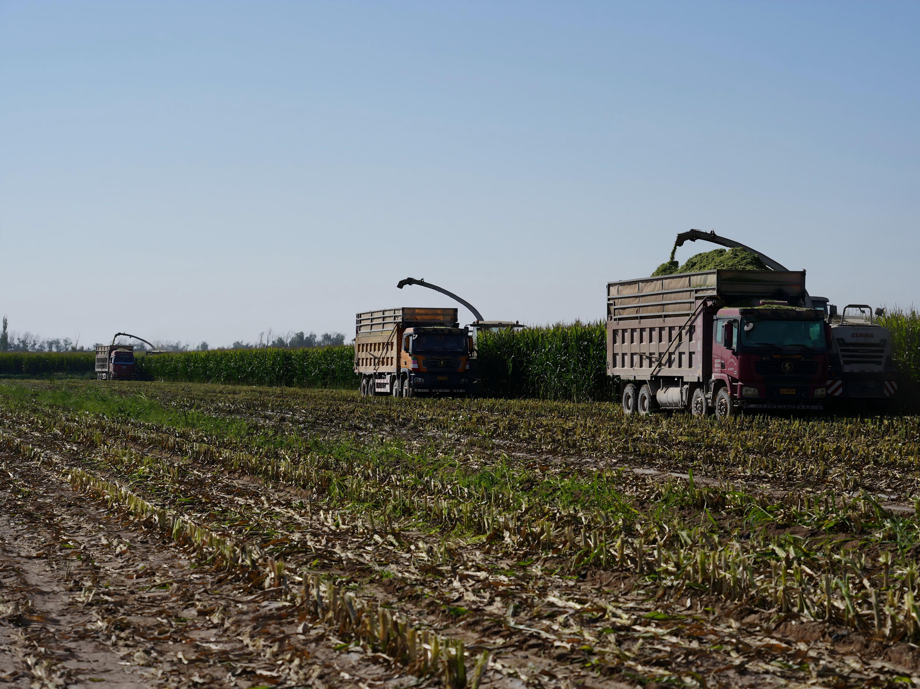 _DSC7632.JPG