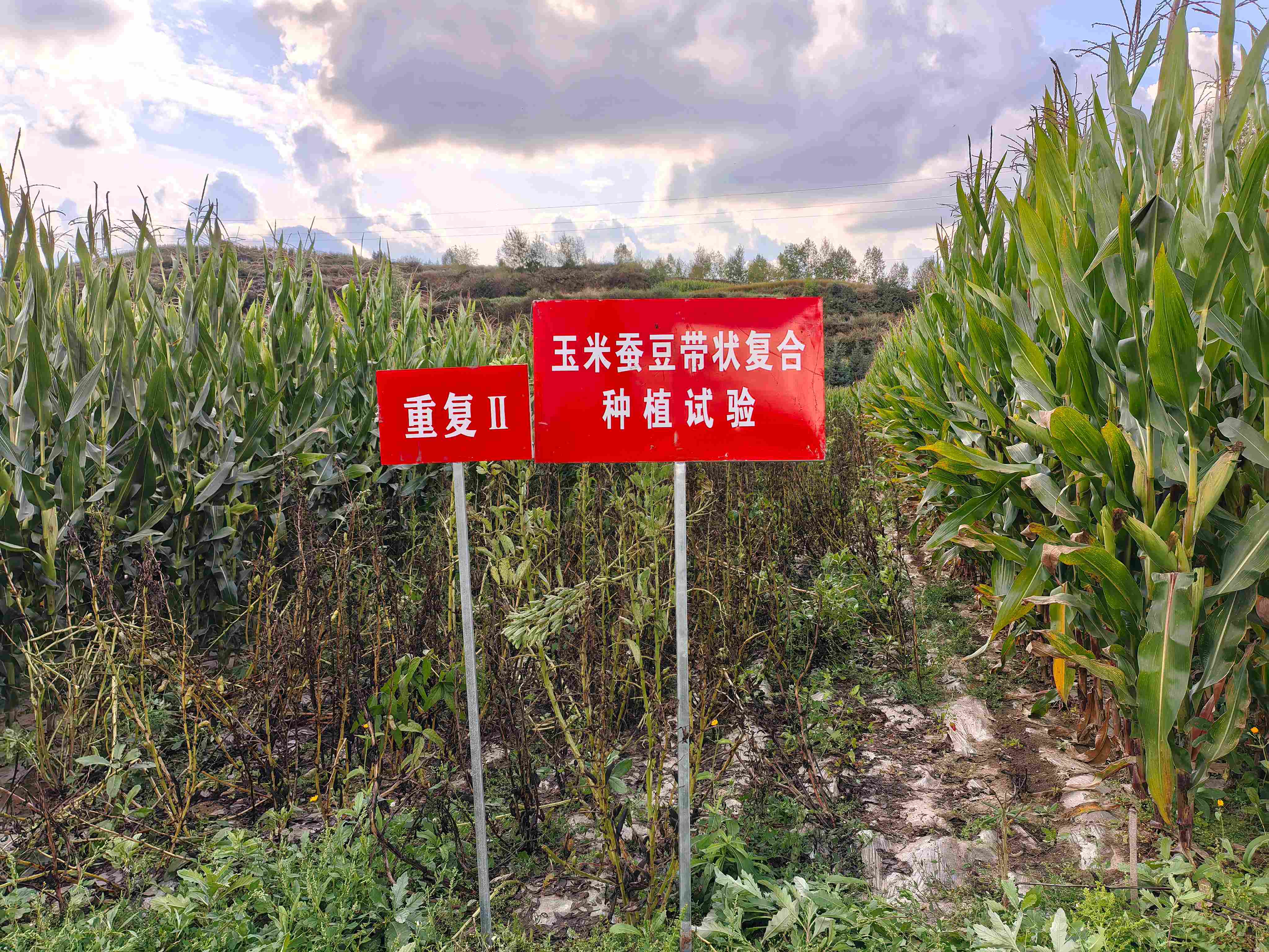 微信图片_20260916181616_93_62.jpg