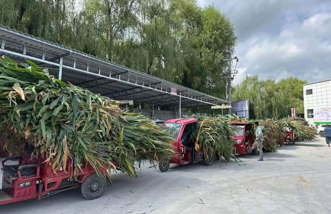 微信图片_2026-09-18_104734_281.jpg