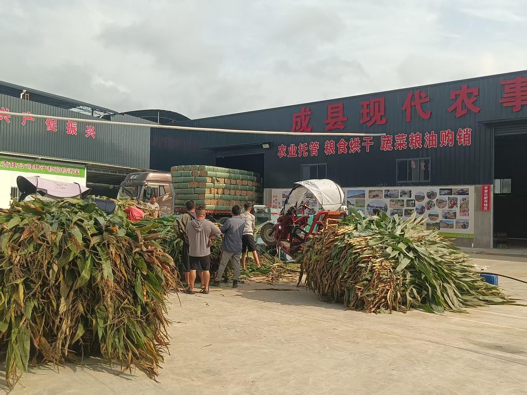 微信图片_2026-09-20_092026_427.jpg