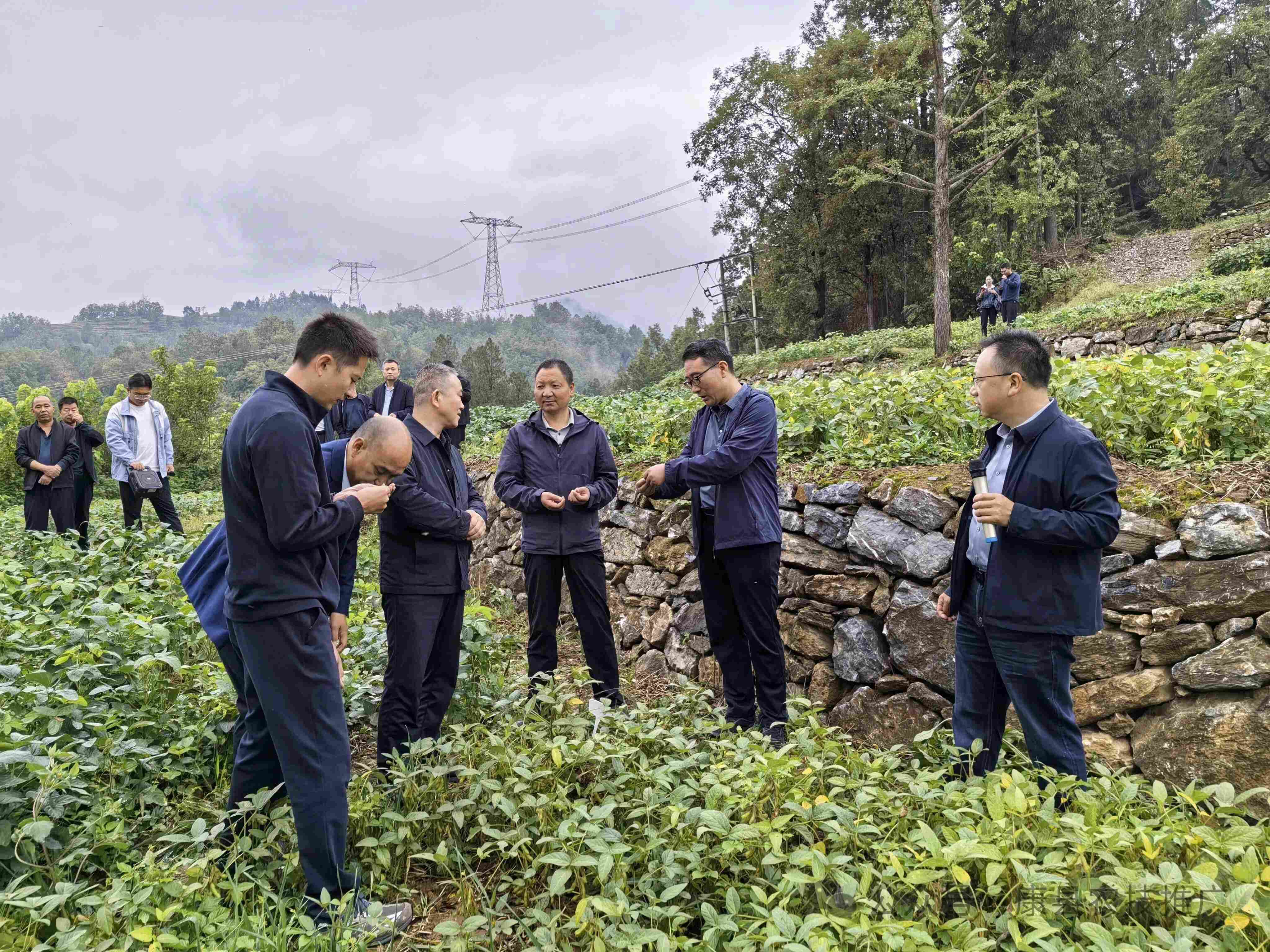 微信图片_2026-09-20_172254_949.jpg
