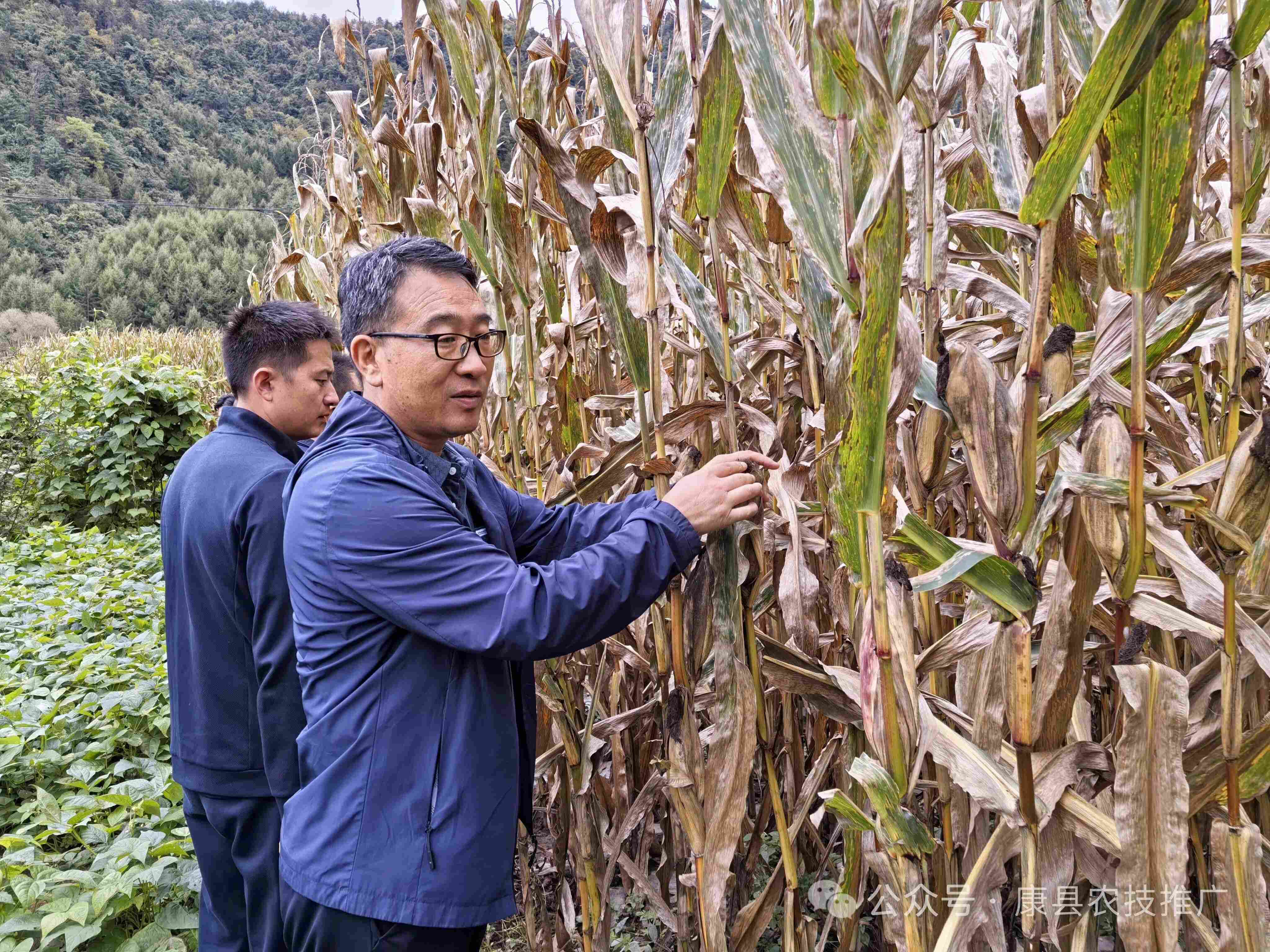 微信图片_2026-09-20_172302_564.jpg